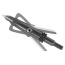 Rage Broadhead 2-blade W-sc - Technology 100gr 2